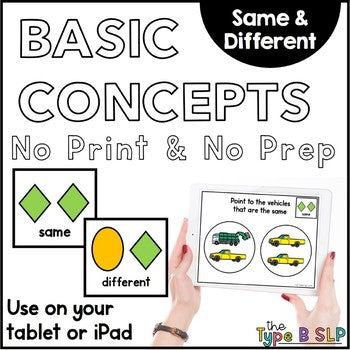 No Print Basic Concepts: Same/Different with Task Box Cards