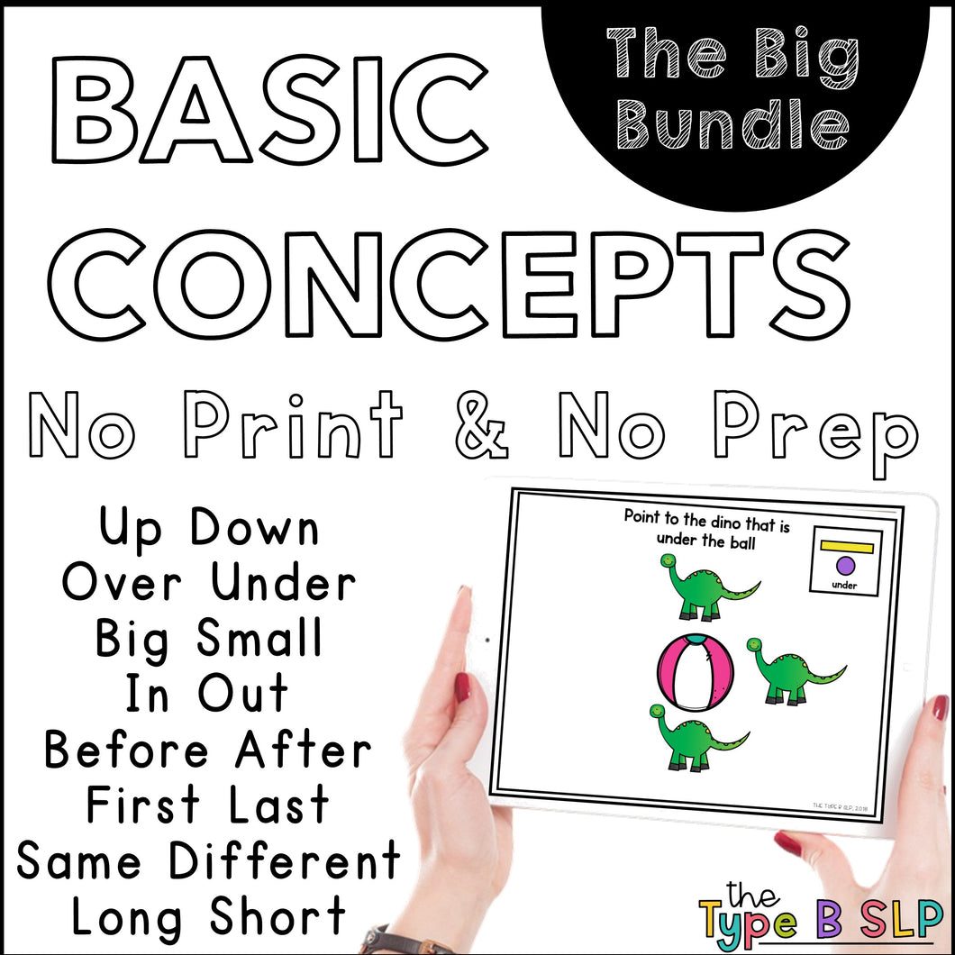 Basic Concepts for Speech Therapy and Teletherapy: The BIG BUNDLE